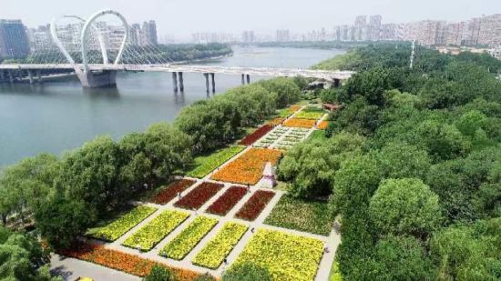 7月1日，和平區百合花展在沈水灣公園盛大開幕