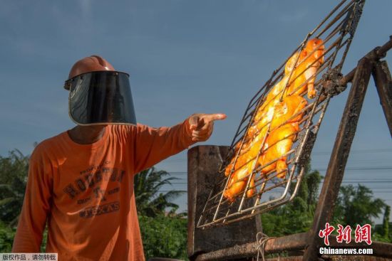 泰国小哥用太阳能烤鸡走红 成为世界上用太阳